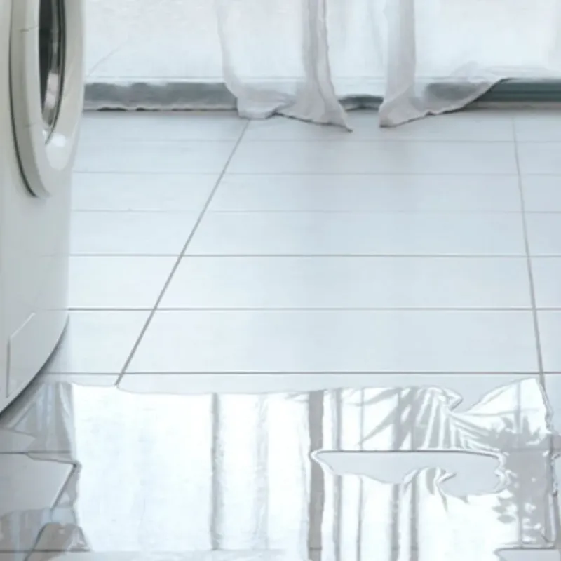 Appliance Leak Cleanup in South Bradenton, FL