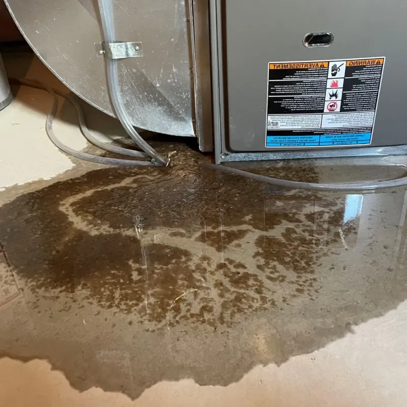 Pipe Burst and Leak Restoration in South Bradenton, FL